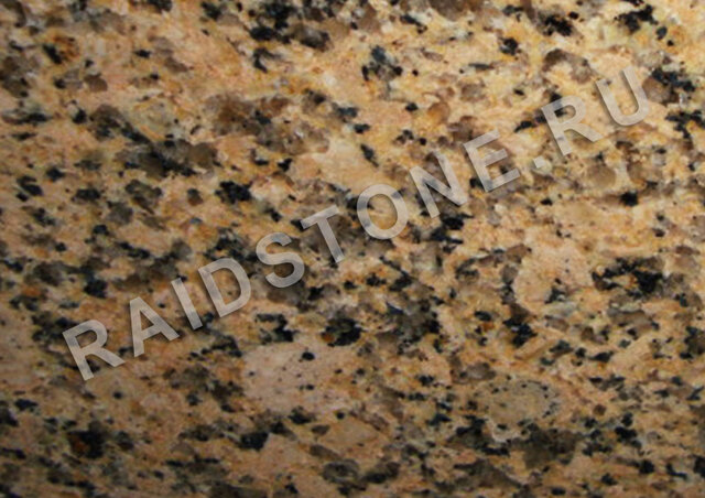 RAIDSTONE - 