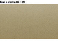 RAIDSTONE - Искусственный камень Vicostone-CAMELLIA BS 4010
