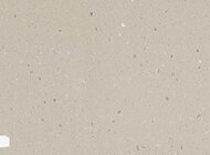 RAIDSTONE - Акриловый камень NEOMARM N 539 Earl Grey