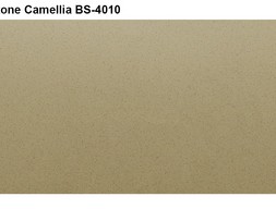 Искусственный камень Vicostone-CAMELLIA BS 4010