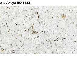 Искусственный камень Vicostone-AKOYA BQ 8583